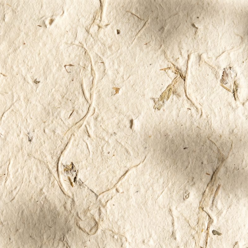 51吃瓜手作纸张的温度 - tyhggcb.cn